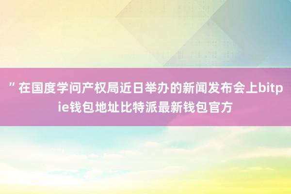 ”在国度学问产权局近日举办的新闻发布会上bitpie钱包地址比特派最新钱包官方