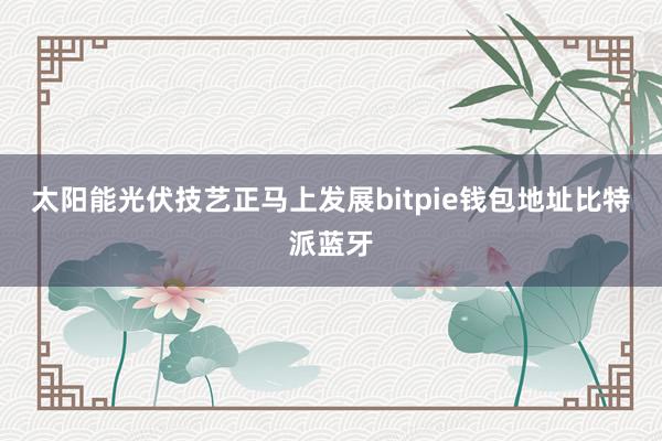 太阳能光伏技艺正马上发展bitpie钱包地址比特派蓝牙