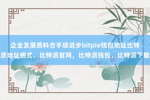 企业发展质料合手续进步bitpie钱包地址比特派地址格式，比特派官网，比特派钱包，比特派下载