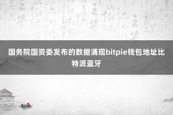 国务院国资委发布的数据涌现bitpie钱包地址比特派蓝牙