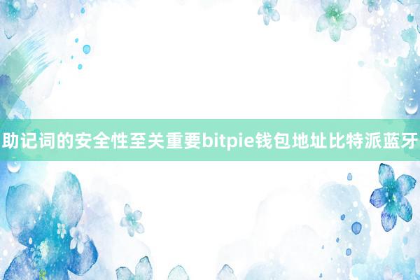 助记词的安全性至关重要bitpie钱包地址比特派蓝牙