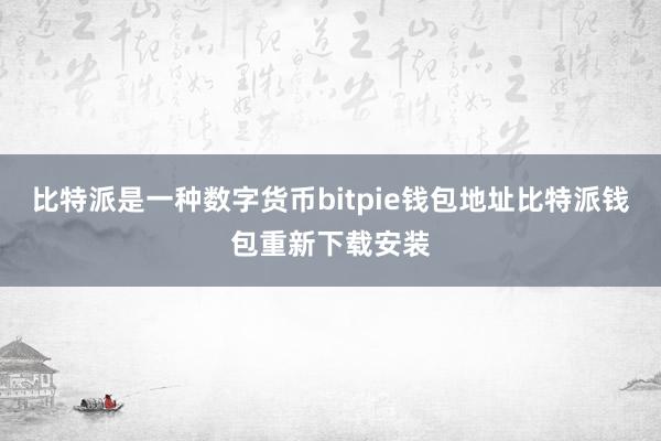 比特派是一种数字货币bitpie钱包地址比特派钱包重新下载安装