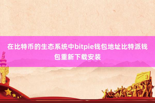 在比特币的生态系统中bitpie钱包地址比特派钱包重新下载安装