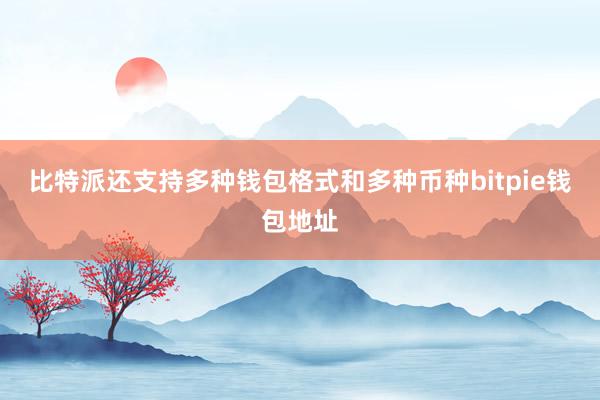 比特派还支持多种钱包格式和多种币种bitpie钱包地址