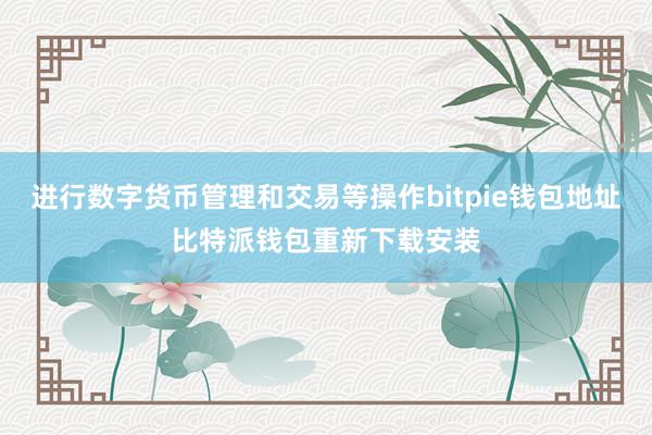 进行数字货币管理和交易等操作bitpie钱包地址比特派钱包重新下载安装