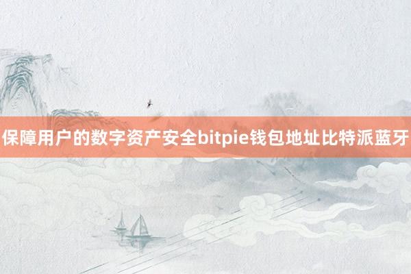 保障用户的数字资产安全bitpie钱包地址比特派蓝牙