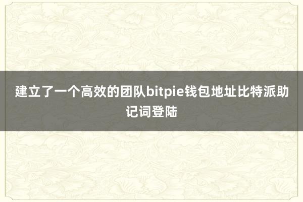 建立了一个高效的团队bitpie钱包地址比特派助记词登陆