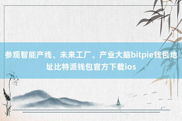 参观智能产线、未来工厂、产业大脑bitpie钱包地址比特派钱包官方下载ios