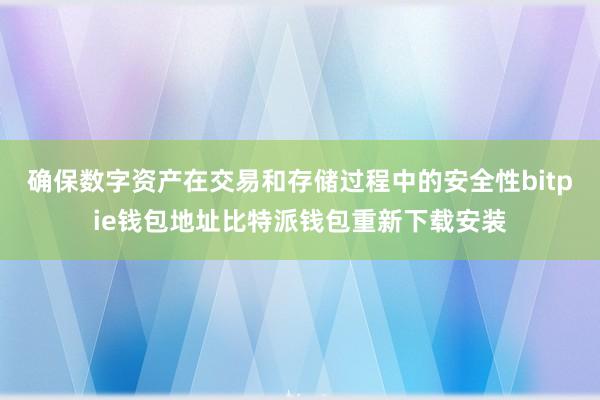 确保数字资产在交易和存储过程中的安全性bitpie钱包地址比特派钱包重新下载安装