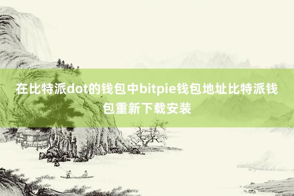 在比特派dot的钱包中bitpie钱包地址比特派钱包重新下载安装