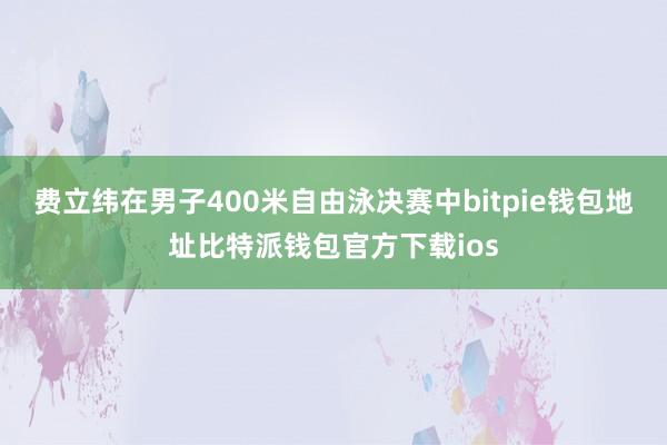 费立纬在男子400米自由泳决赛中bitpie钱包地址比特派钱包官方下载ios