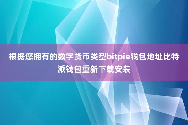 根据您拥有的数字货币类型bitpie钱包地址比特派钱包重新下载安装