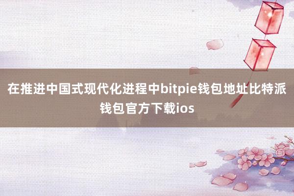 在推进中国式现代化进程中bitpie钱包地址比特派钱包官方下载ios