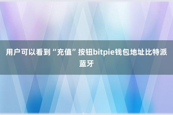 用户可以看到“充值”按钮bitpie钱包地址比特派蓝牙