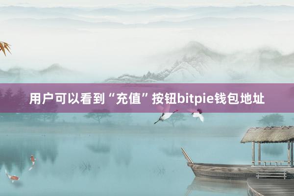 用户可以看到“充值”按钮bitpie钱包地址