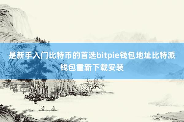 是新手入门比特币的首选bitpie钱包地址比特派钱包重新下载安装