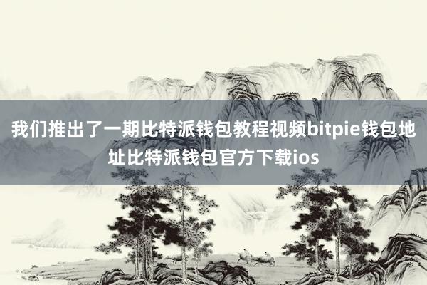 我们推出了一期比特派钱包教程视频bitpie钱包地址比特派钱包官方下载ios