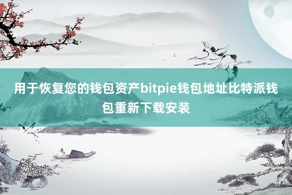 用于恢复您的钱包资产bitpie钱包地址比特派钱包重新下载安装