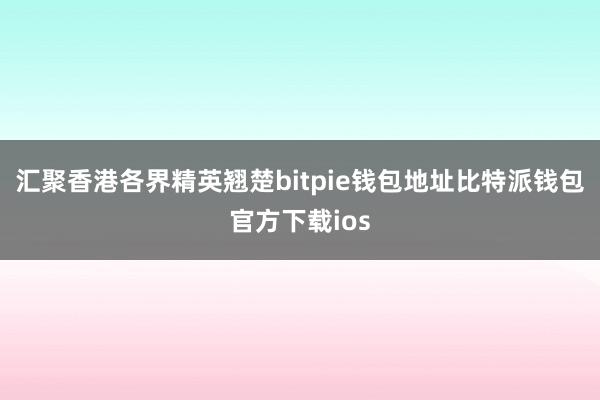 汇聚香港各界精英翘楚bitpie钱包地址比特派钱包官方下载ios