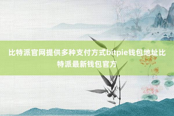 比特派官网提供多种支付方式bitpie钱包地址比特派最新钱包官方