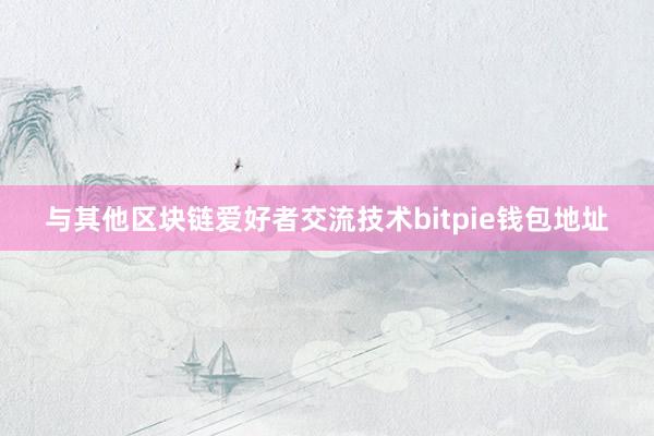 与其他区块链爱好者交流技术bitpie钱包地址