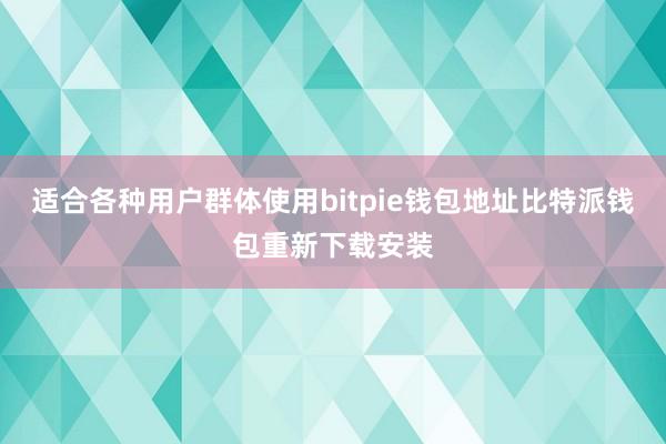 适合各种用户群体使用bitpie钱包地址比特派钱包重新下载安装