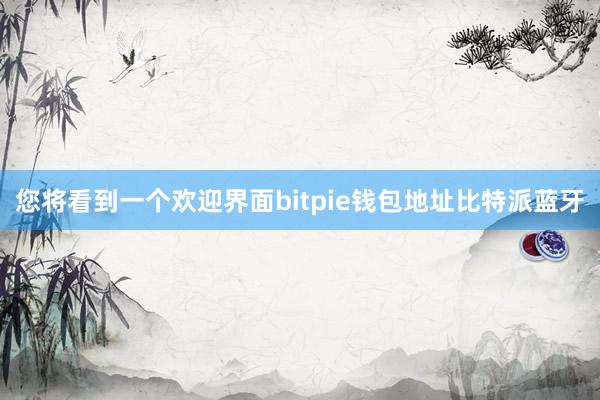 您将看到一个欢迎界面bitpie钱包地址比特派蓝牙