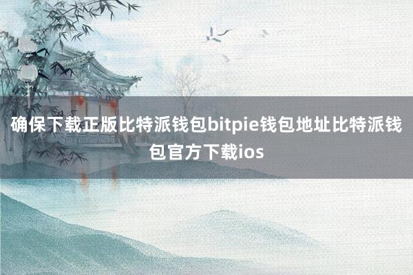 确保下载正版比特派钱包bitpie钱包地址比特派钱包官方下载ios