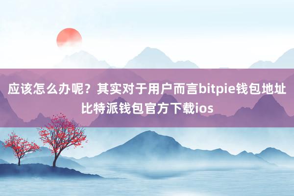 应该怎么办呢？其实对于用户而言bitpie钱包地址比特派钱包官方下载ios