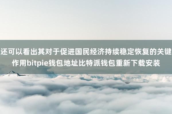 还可以看出其对于促进国民经济持续稳定恢复的关键作用bitpie钱包地址比特派钱包重新下载安装