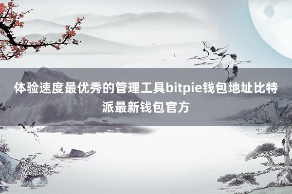 体验速度最优秀的管理工具bitpie钱包地址比特派最新钱包官方