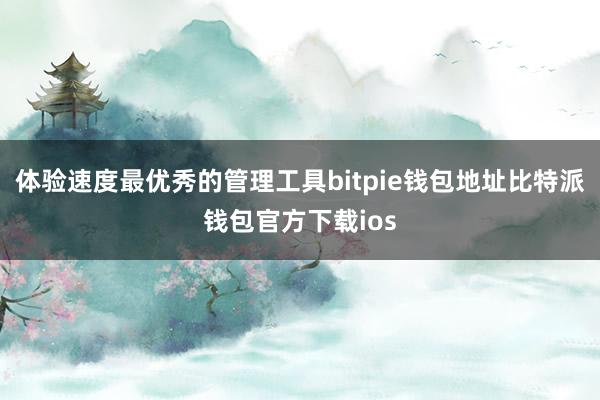 体验速度最优秀的管理工具bitpie钱包地址比特派钱包官方下载ios