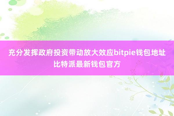 充分发挥政府投资带动放大效应bitpie钱包地址比特派最新钱包官方