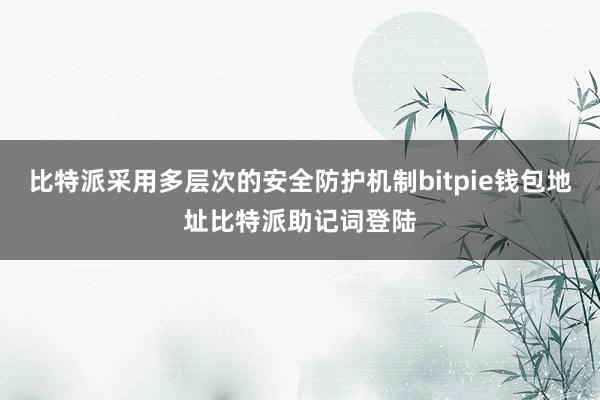 比特派采用多层次的安全防护机制bitpie钱包地址比特派助记词登陆