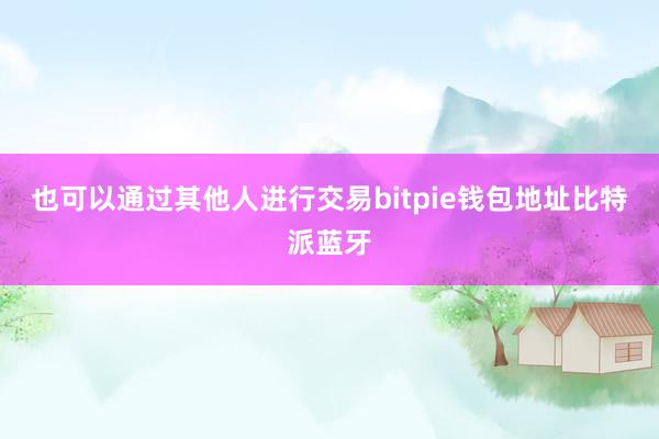 也可以通过其他人进行交易bitpie钱包地址比特派蓝牙