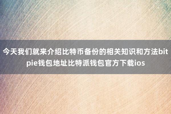 今天我们就来介绍比特币备份的相关知识和方法bitpie钱包地址比特派钱包官方下载ios