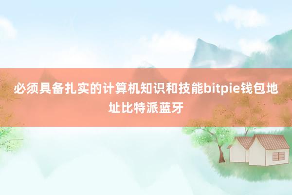 必须具备扎实的计算机知识和技能bitpie钱包地址比特派蓝牙