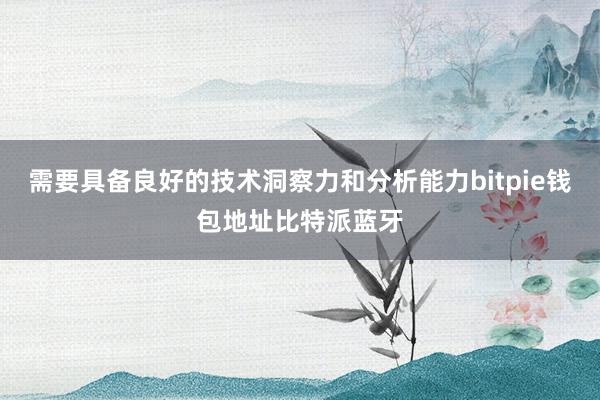 需要具备良好的技术洞察力和分析能力bitpie钱包地址比特派蓝牙