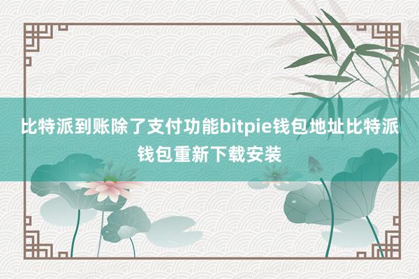 比特派到账除了支付功能bitpie钱包地址比特派钱包重新下载安装