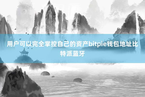 用户可以完全掌控自己的资产bitpie钱包地址比特派蓝牙