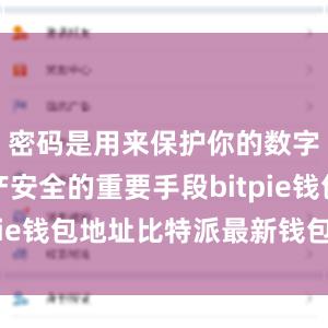 密码是用来保护你的数字货币资产安全的重要手段bitpie钱包地址比特派最新钱包官方