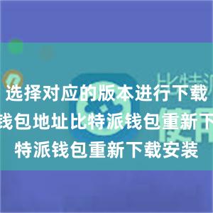 选择对应的版本进行下载bitpie钱包地址比特派钱包重新下载安装