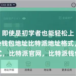 即使是初学者也能轻松上手bitpie钱包地址比特派地址格式，比特派官网，比特派钱包，比特派下载