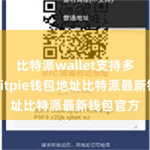 比特派wallet支持多种语言bitpie钱包地址比特派最新钱包官方