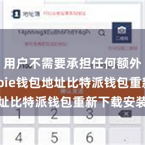 用户不需要承担任何额外费用bitpie钱包地址比特派钱包重新下载安装