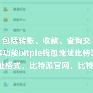 包括转账、收款、查询交易记录等功能bitpie钱包地址比特派地址格式，比特派官网，比特派钱包，比特派下载