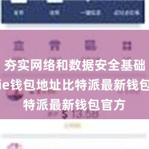 夯实网络和数据安全基础bitpie钱包地址比特派最新钱包官方