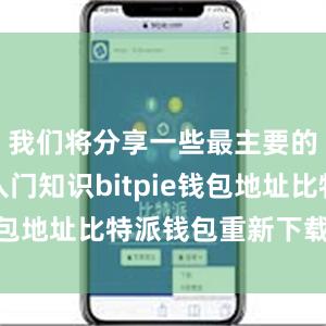 我们将分享一些最主要的比特币入门知识bitpie钱包地址比特派钱包重新下载安装