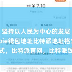 坚持以人民为中心的发展思想bitpie钱包地址比特派地址格式，比特派官网，比特派钱包，比特派下载