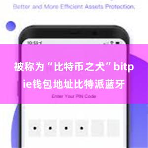 被称为“比特币之犬”bitpie钱包地址比特派蓝牙